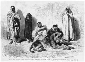 Group of Arabic men from the province of Algiers, walking with a captured lion in the streets of the town, from Le Monde Illustre, January 1864